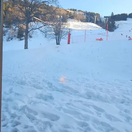 Pied Des Pistes App 5 Personnes
